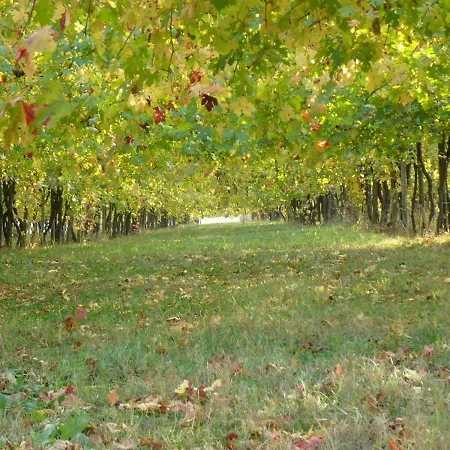 Agriturismo Il Torchio *